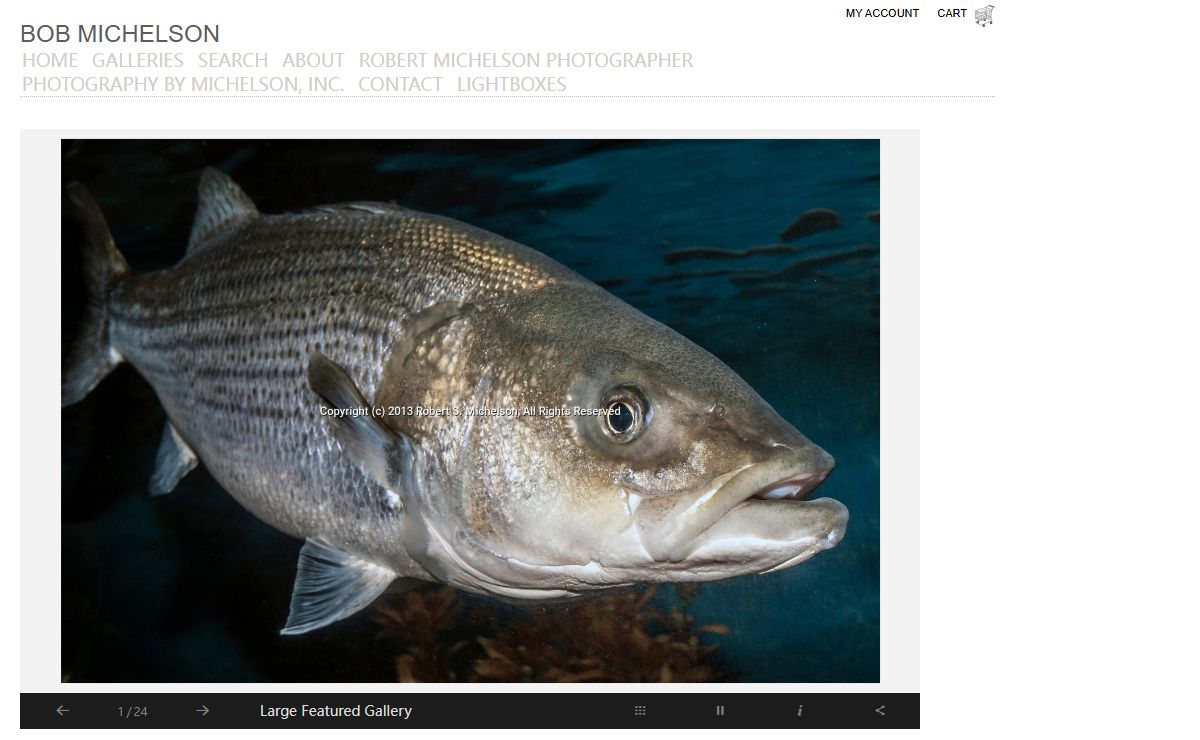 Robert S. Michelson, Photography by Michelson, Inc. | Bob Michelson