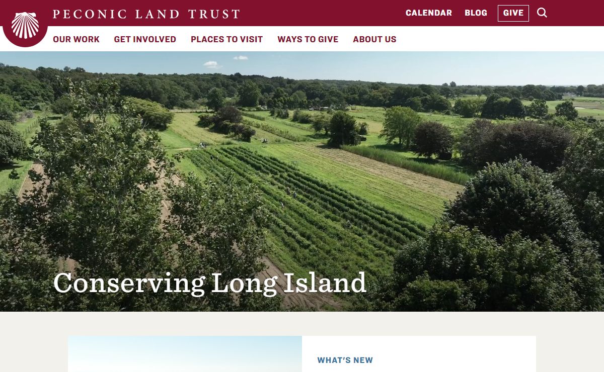 Homepage