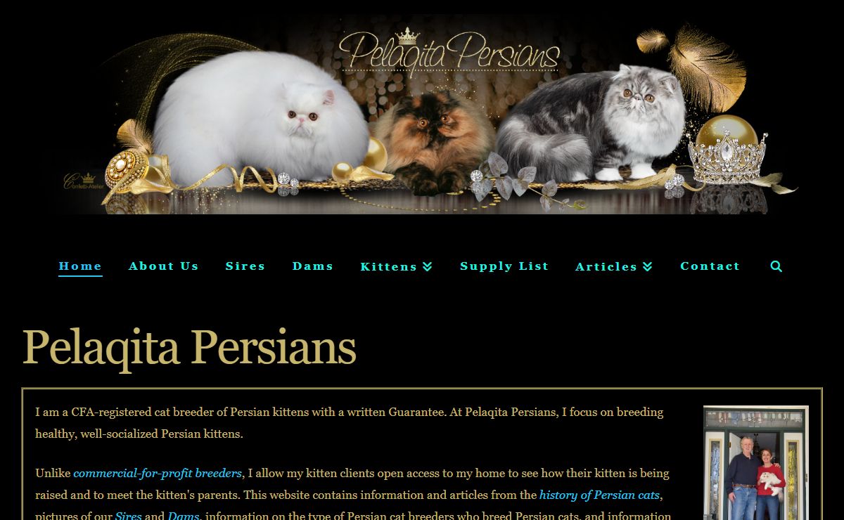 Pelaqita Persian cats and kittens for sale, guarantee, cat breeder