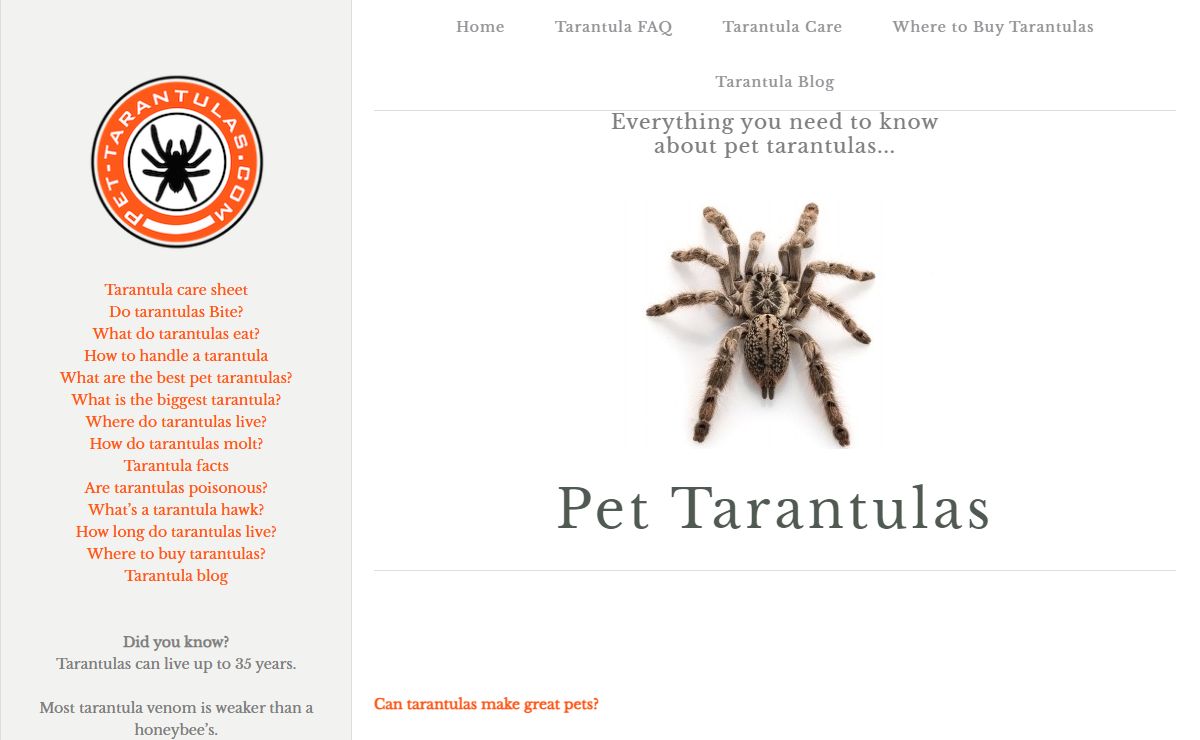 Pet Tarantulas