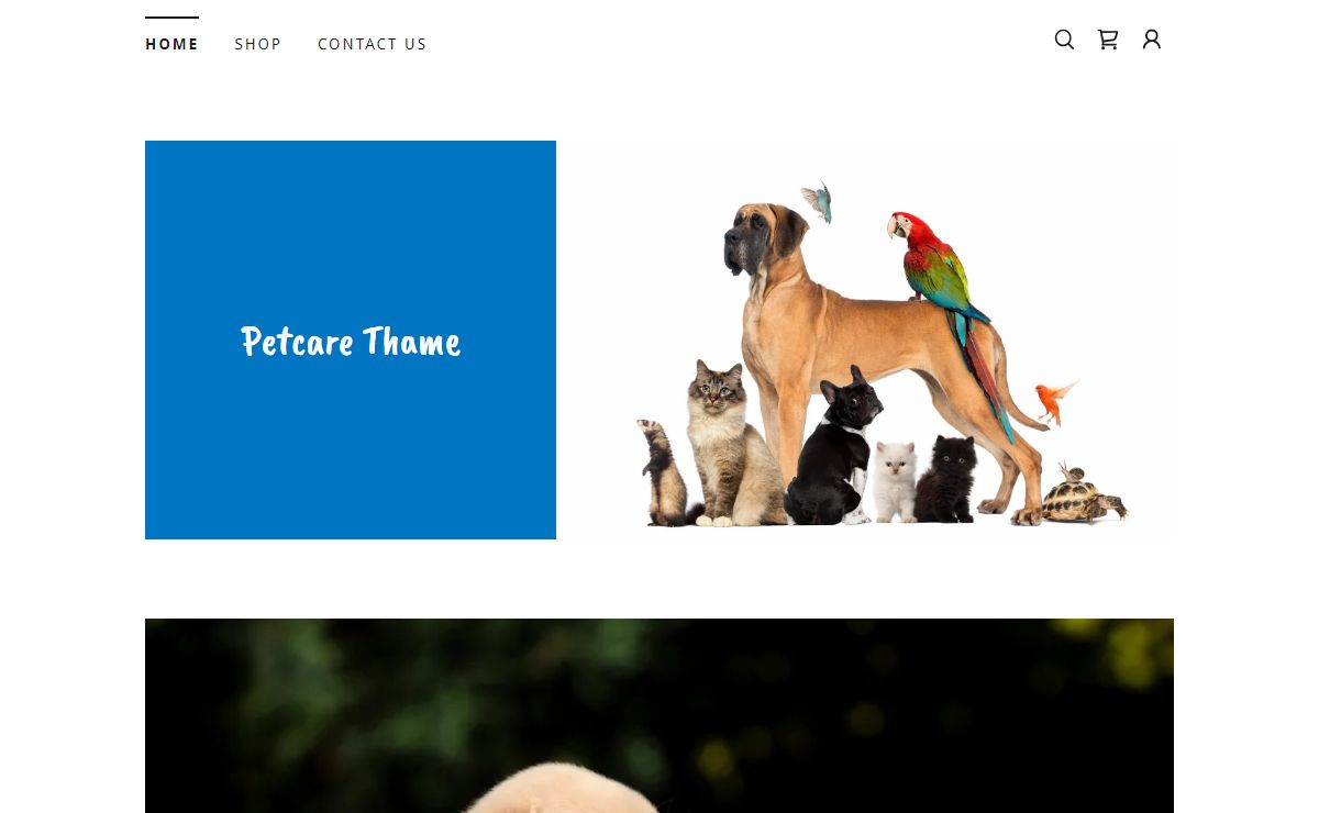 Petcare