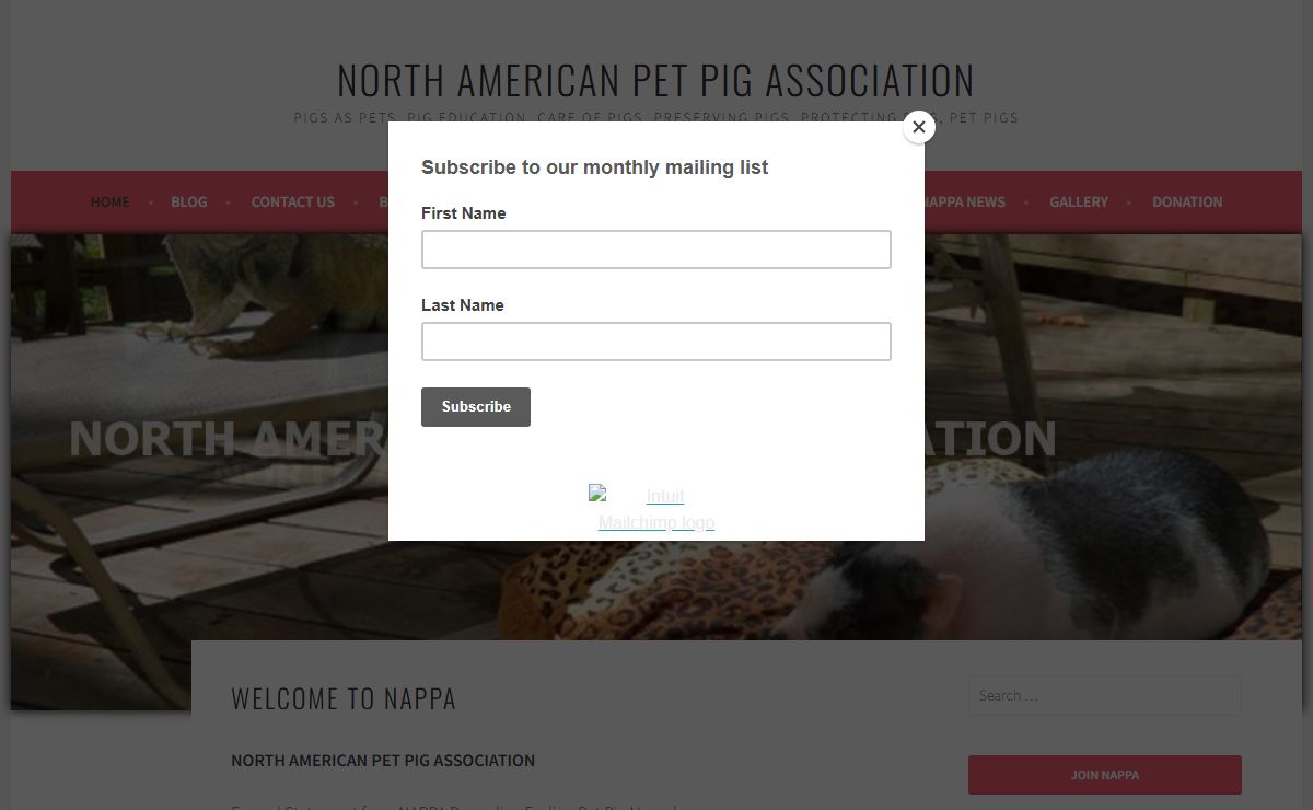North American Pet Pig Association – Pigs As Pets, Pig Education, Care of Pigs, Preserving Pigs, Protecting Pigs, Pet Pigs
