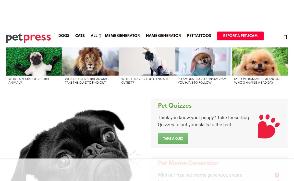 PetPress Community | #1 source for everything Pets