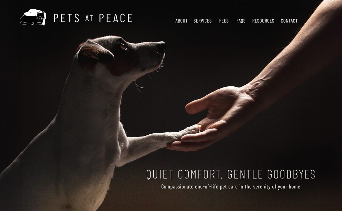 Home Euthanasia: A Comfortable option for your beloved pet - Pets at Peace