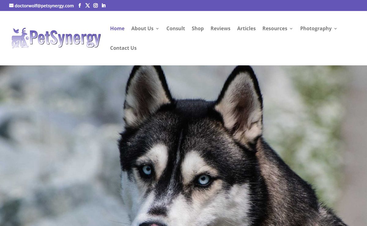 Home - PetSynergy