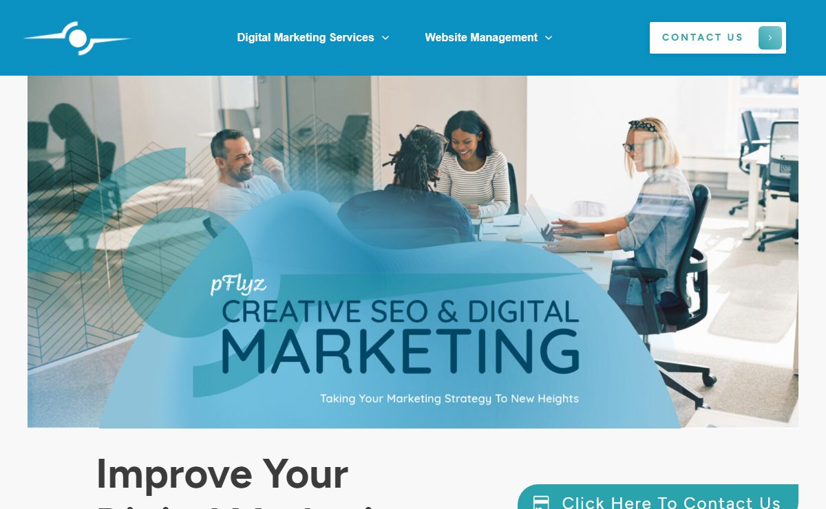 pFlyz Creative -Digital Marketing