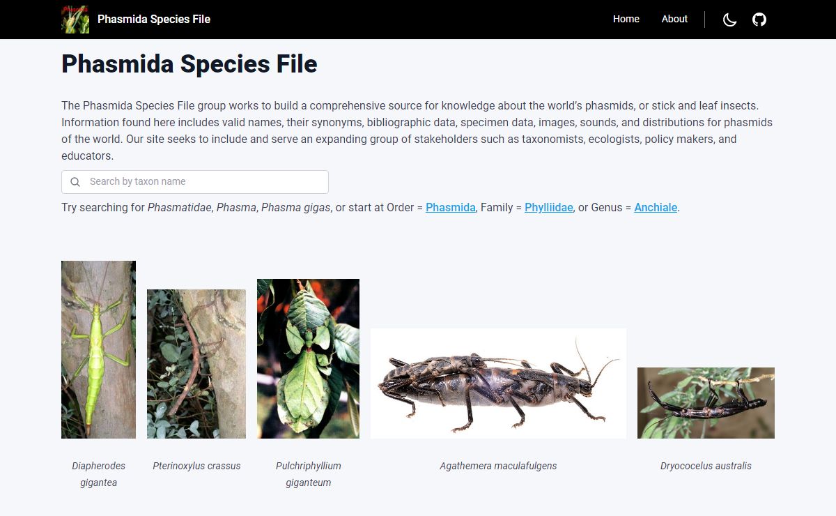 Phasmida Species File