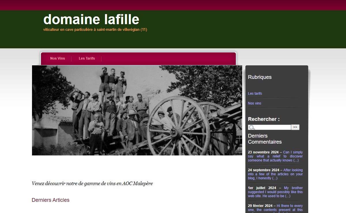Domaine Lafille - Viticulteur en cave particulière à Saint-Martin de Villeréglan (11)