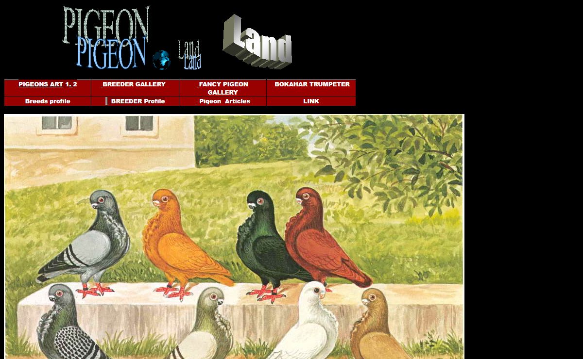 pigeon Land