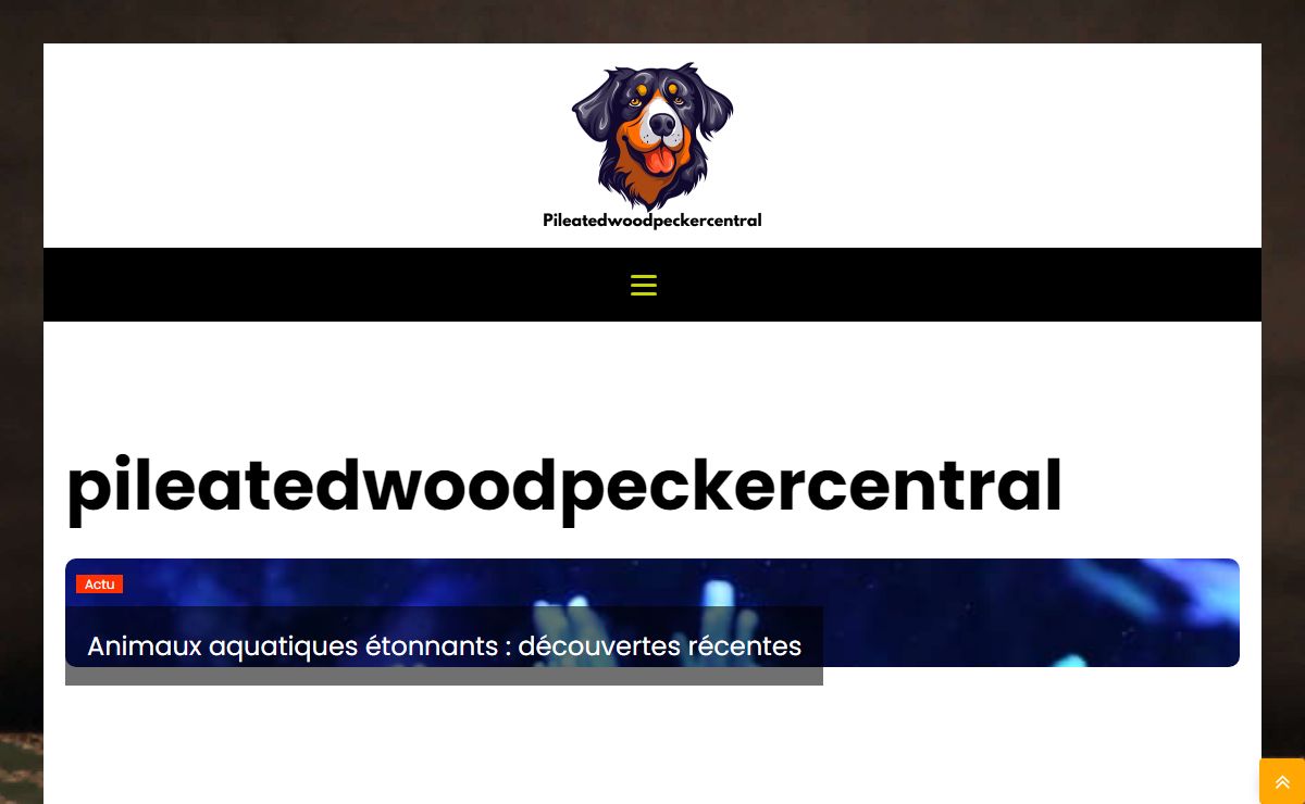 pileatedwoodpeckercentral.com - pileatedwoodpeckercentral
