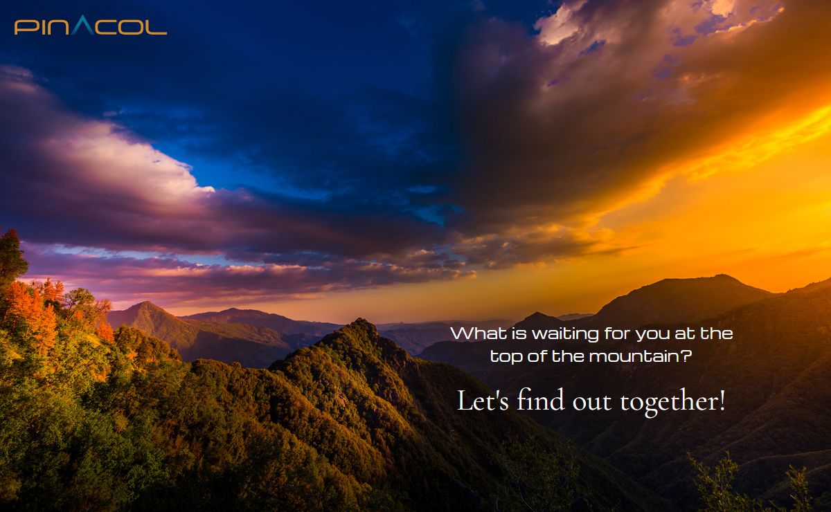 Pinacol - Software Solutions and Technology Services Company