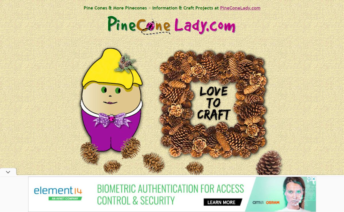 ★ Pine Cone Crafts PineConeLady Nature Crafting with Pinecones & Pods - Craft Projects