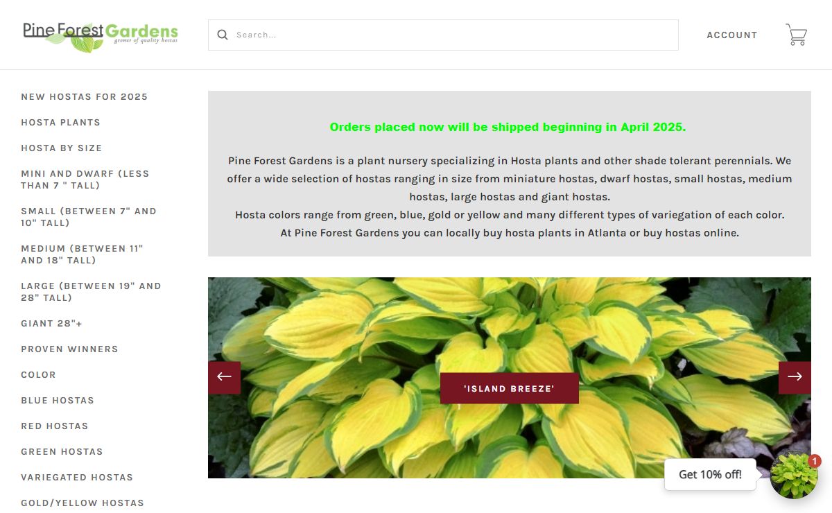 Pine Forest Gardens Hosta Plants-Hostas for sale