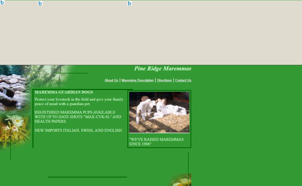 Pine Ridge Maremmas