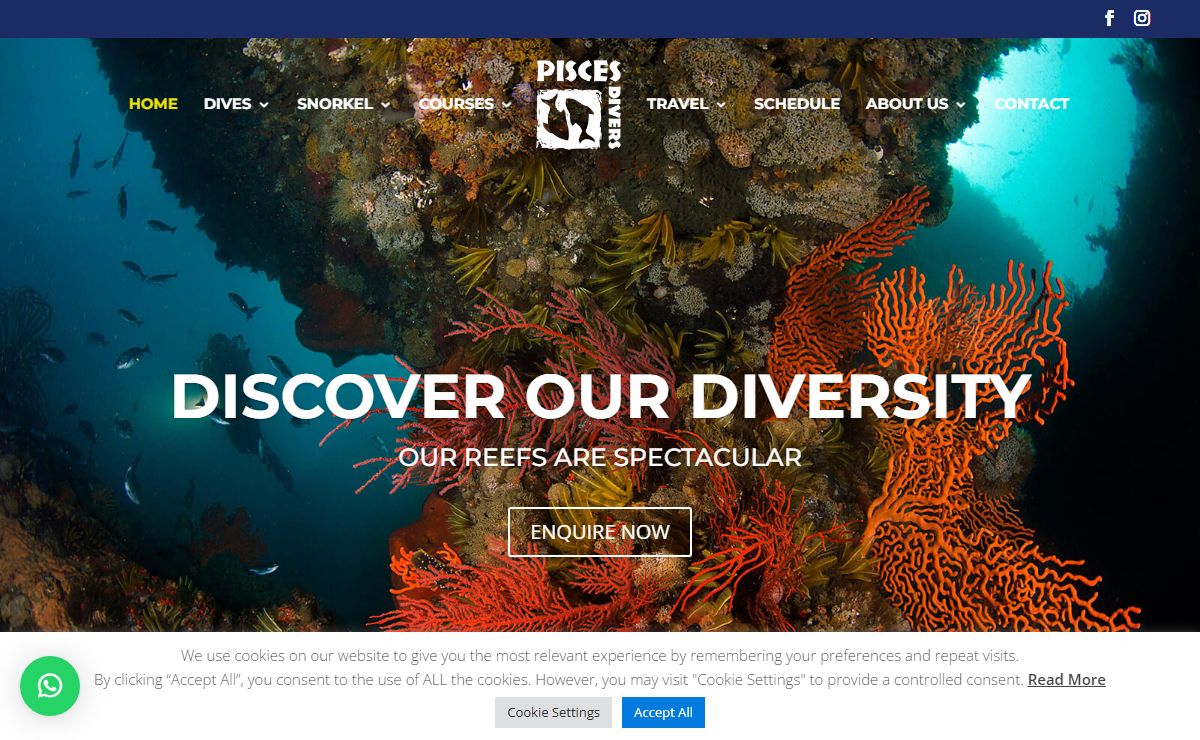 Pisces Divers | Cape Town Scuba Diving & PADI Training Centre