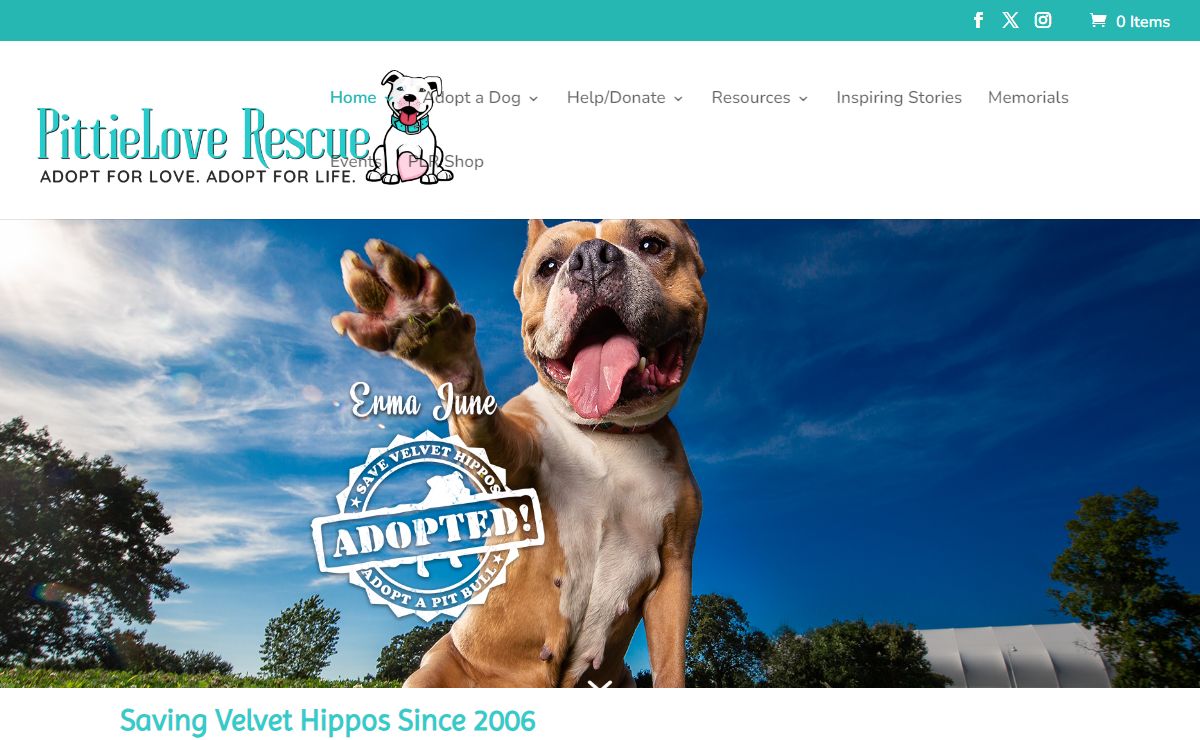 PittieLove Rescue | Adopt for Love. Adopt for Life.