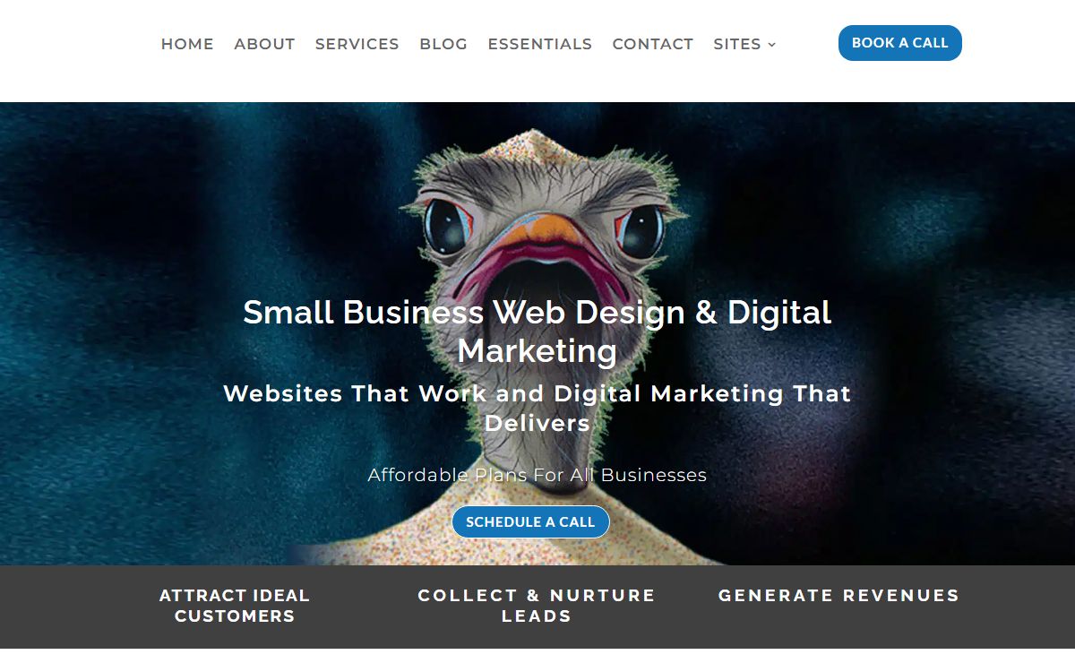 Small Business Web Designer - We do more than pretty