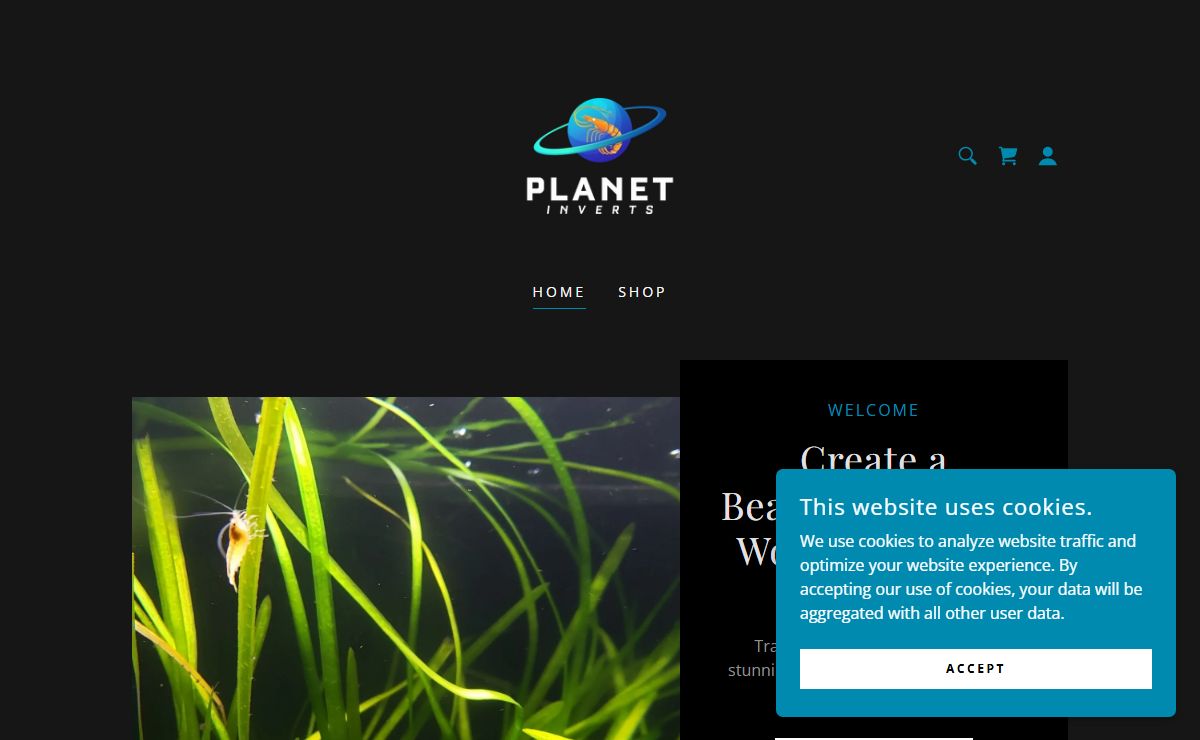 Planet Inverts