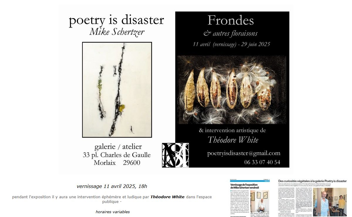 Poetry is Disaster