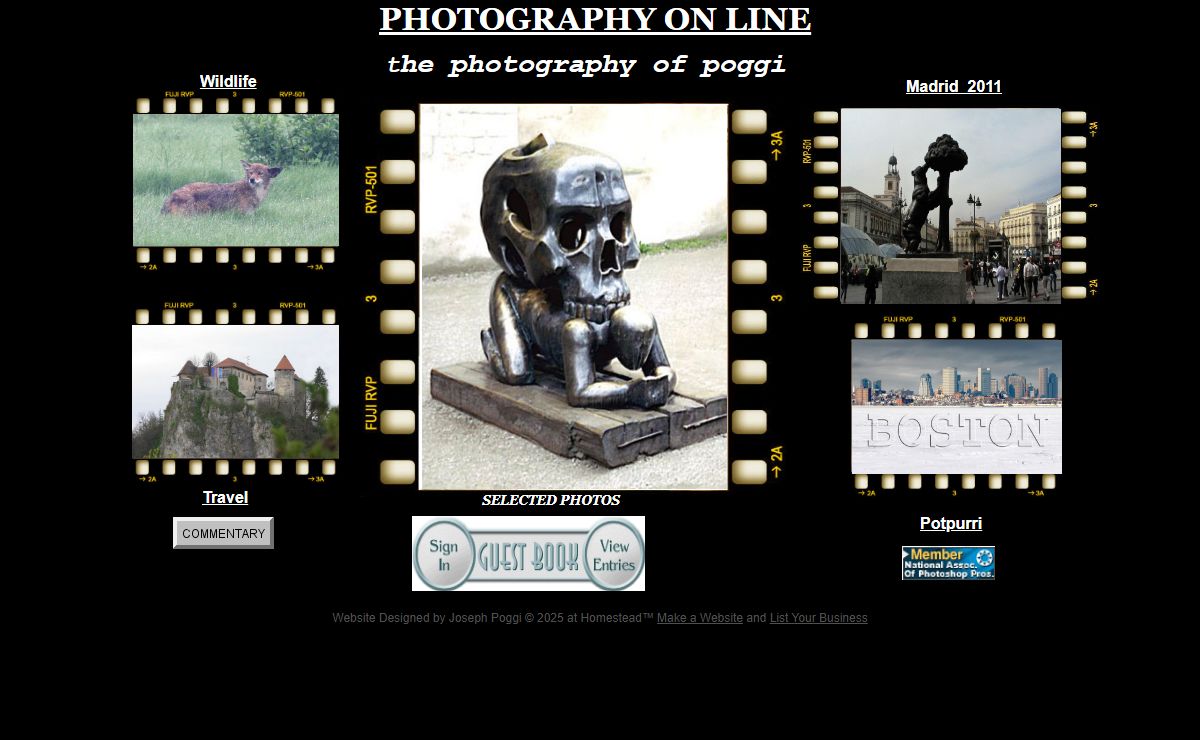 Photography On Line