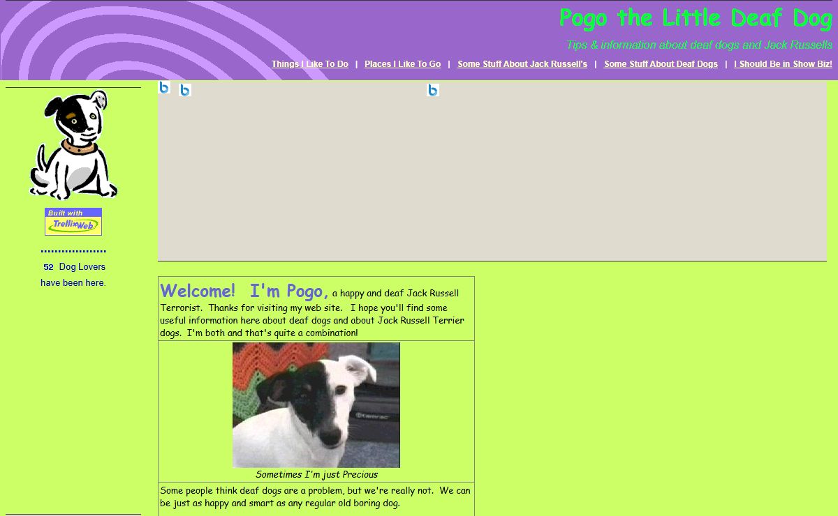 Pogo the Little Deaf Dog