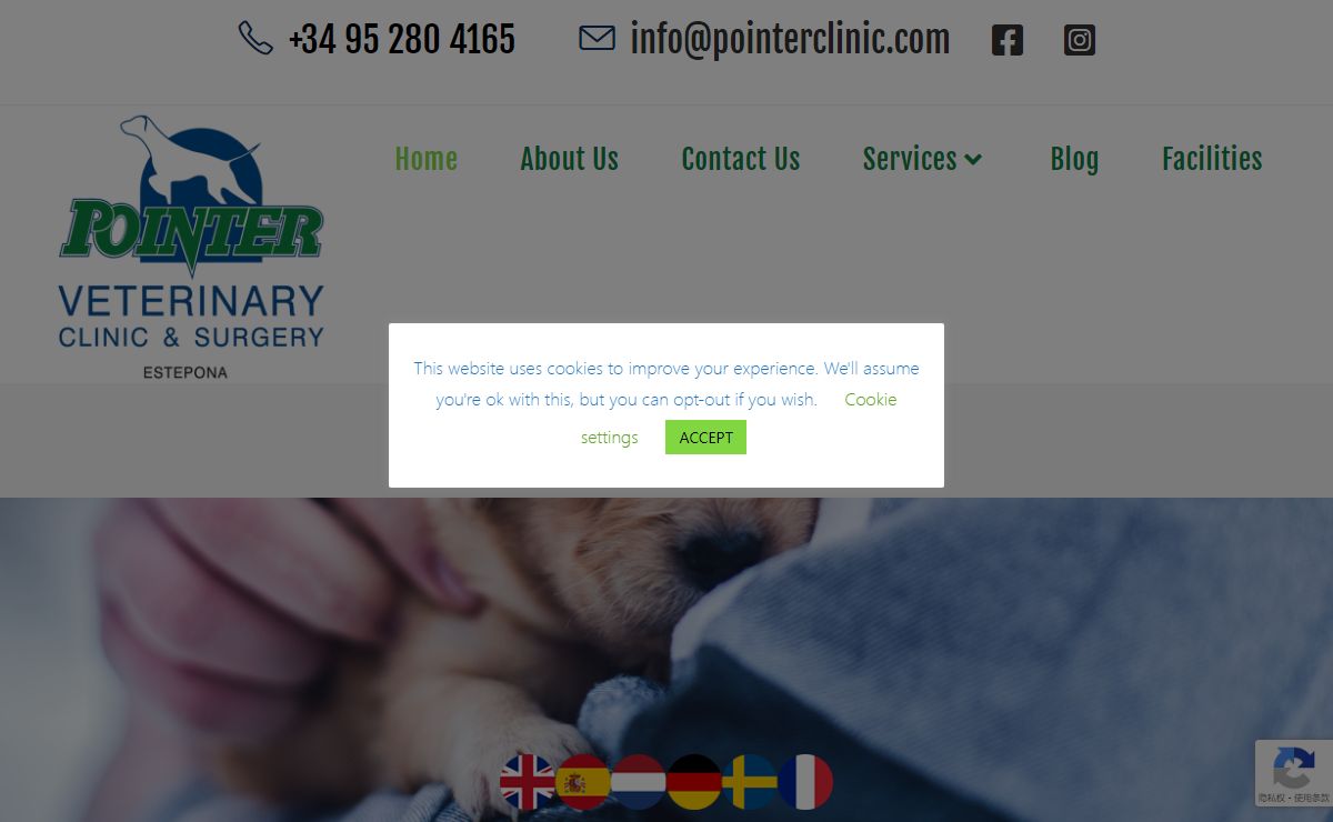 Pointer Veterinary Clinic - Estepona Home