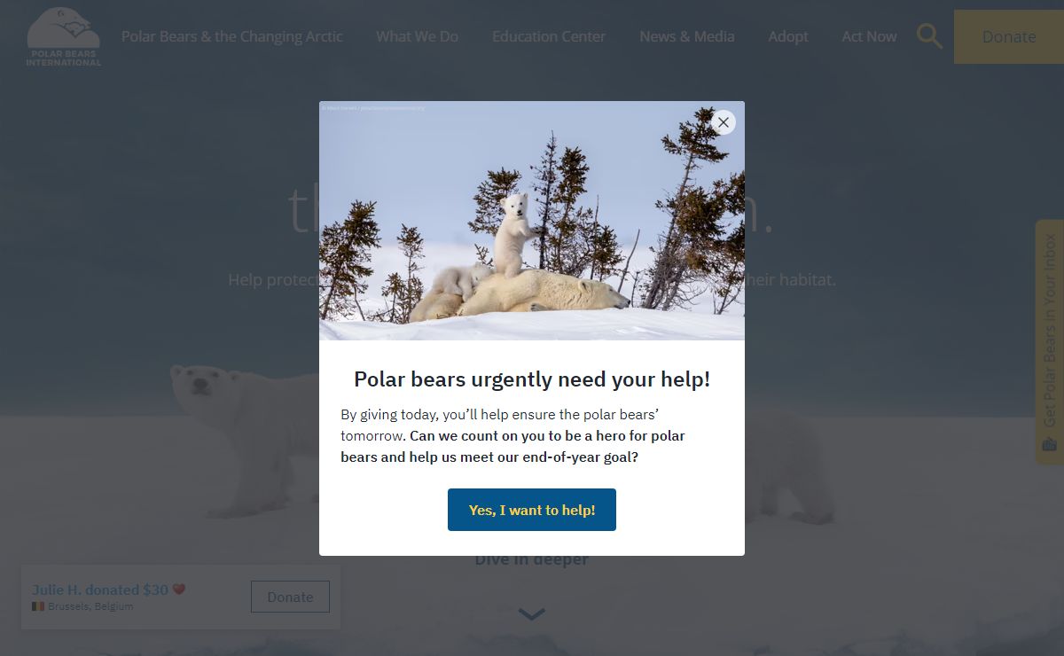Polar Bears International