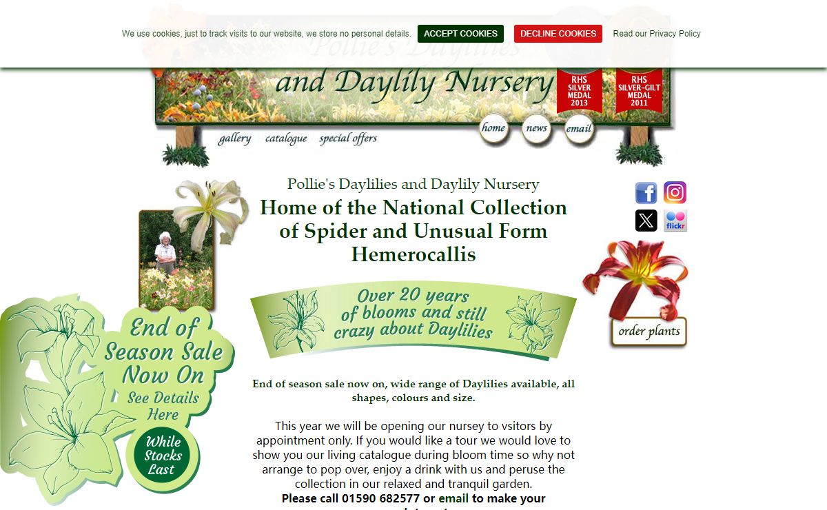 Daylilies for Sale | UK Daylily Nursery | Hemerocallis | UK