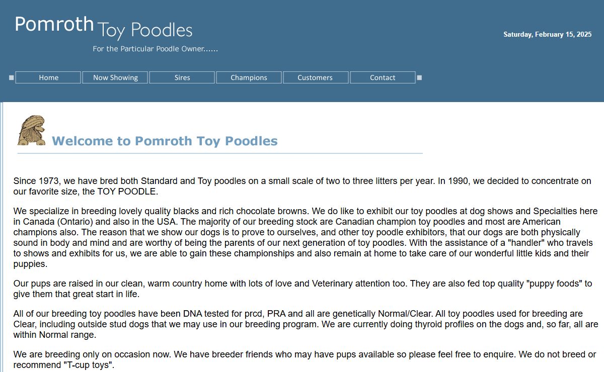 Toy Poodles, Pomroth Toy Poodles, Champion Toy Poodles, Show Toy Poodles, Brown Toy Poodles, Black Toy Poodles
