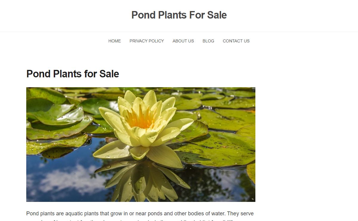 Pond Plants For Sale