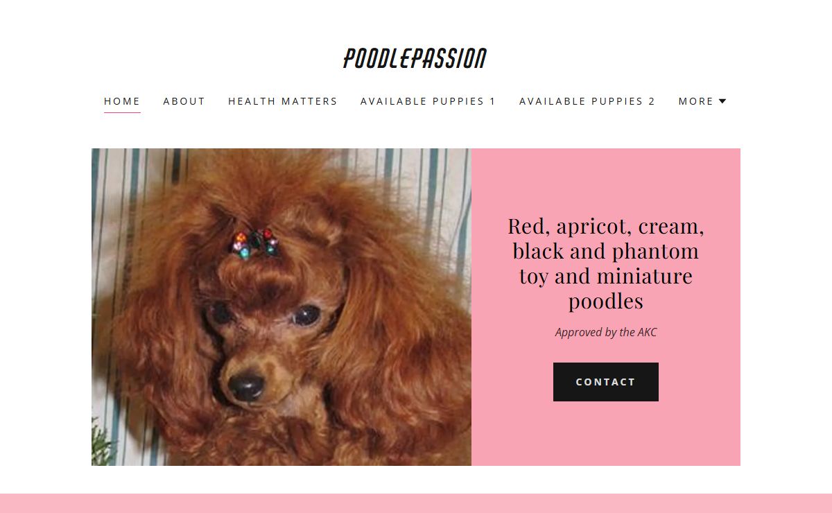 Poodlepassion