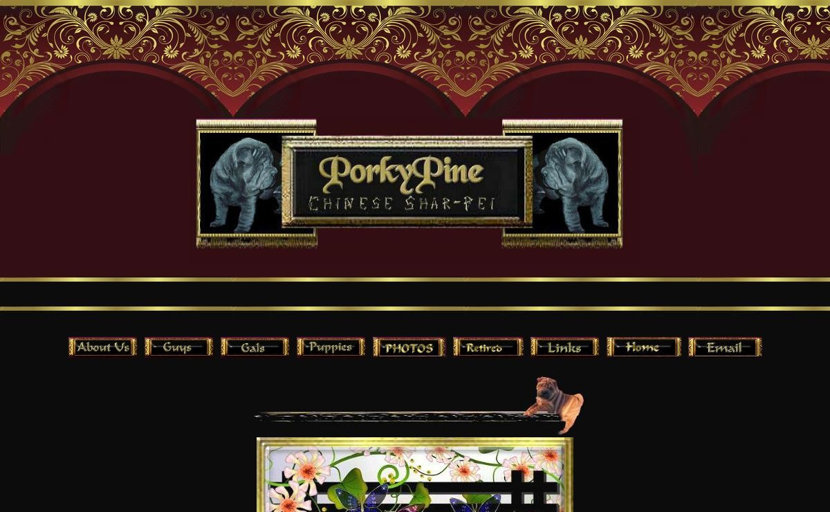 Welcome to PorkyPine Chinese Shar-Pei !