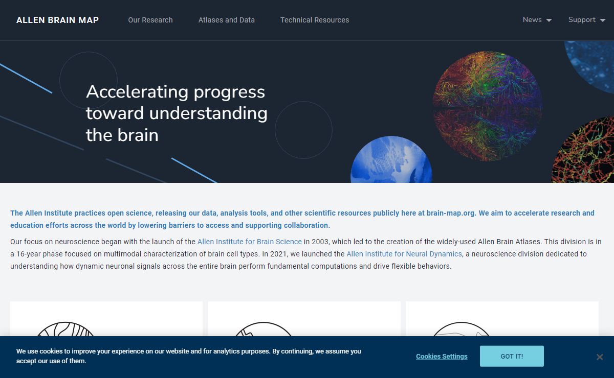 Brain Map - brain-map.org