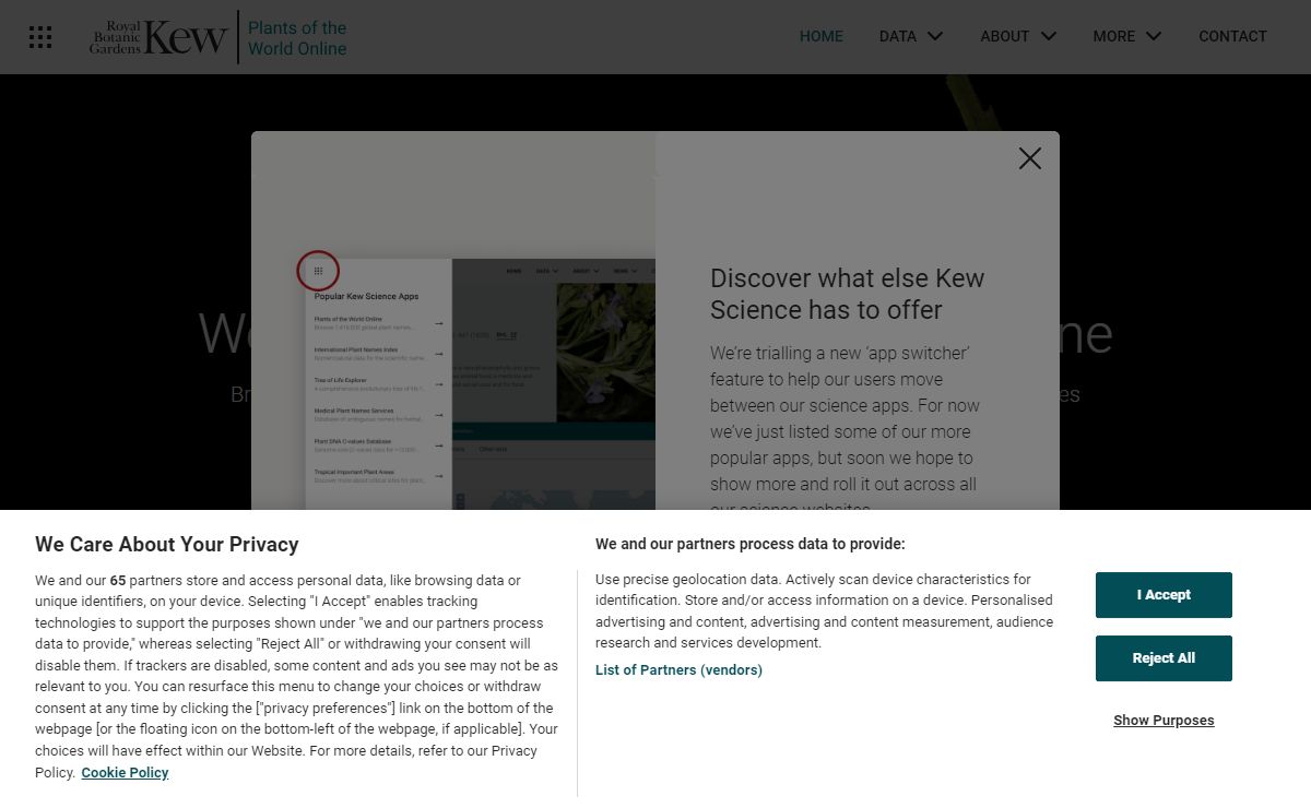 Plants of the World Online | Kew Science