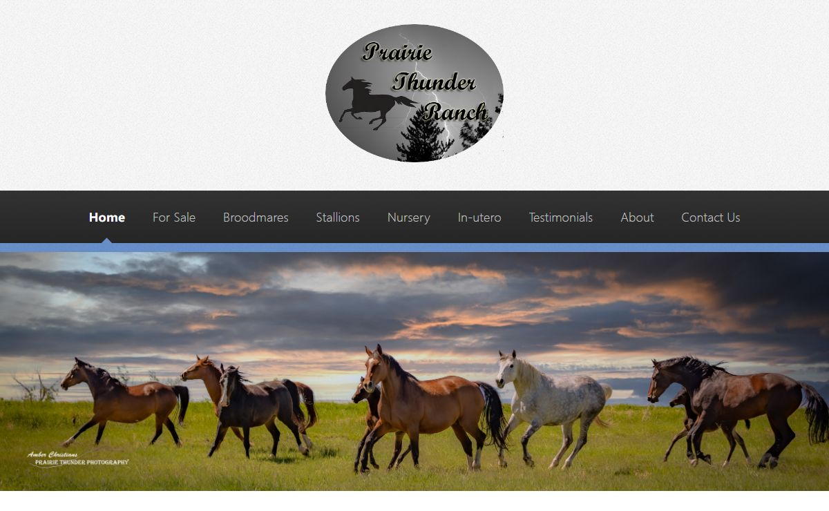 Prairie Thunder Ranch