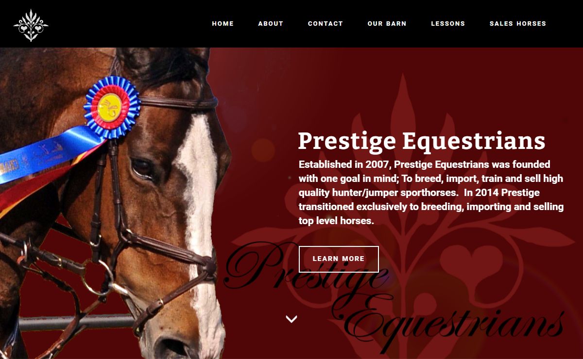 Prestrige Equestrians Sporthorse Sales, Importation and Training