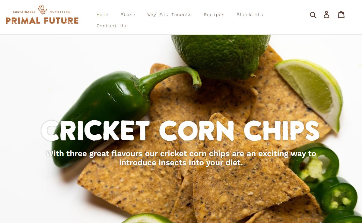 Primal Future Cricket Corn Chips