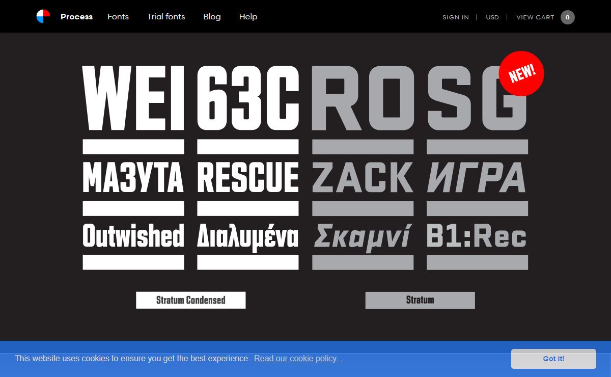 Process Type Foundry