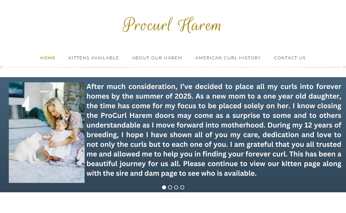 Procurl Harem - American Curl Breeders