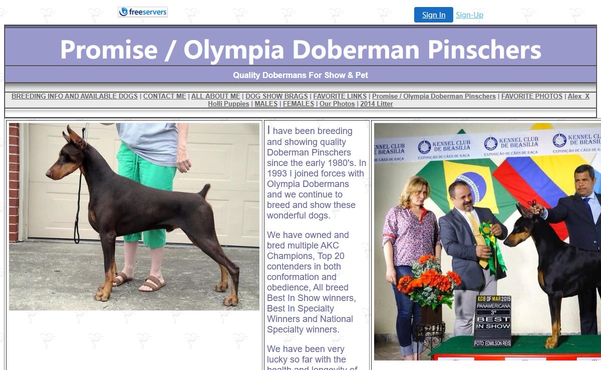 Promise / Olympia Doberman Pinschers