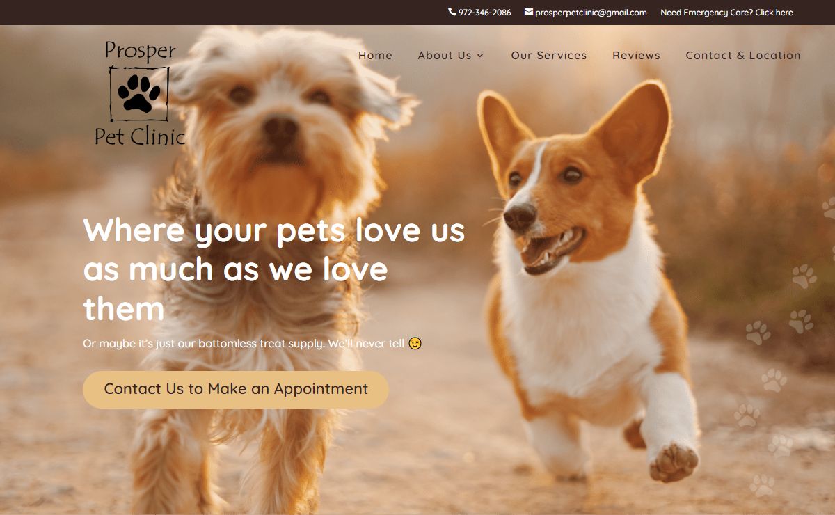 Prosper Pet Clinic - Small Animal Veterinarian & Hospital