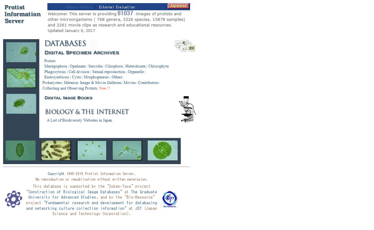Protist Information Server