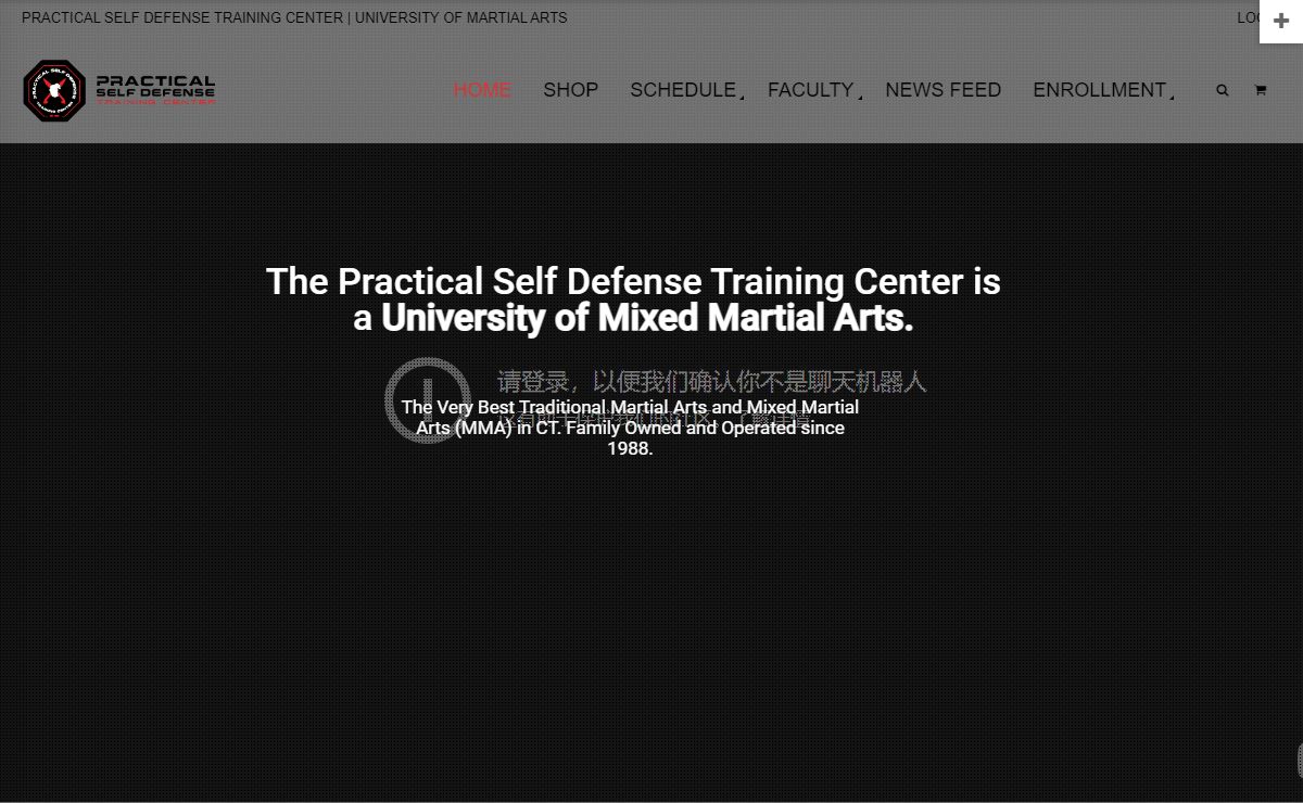 Home - Practical Self Defense Training Center MMA in CT