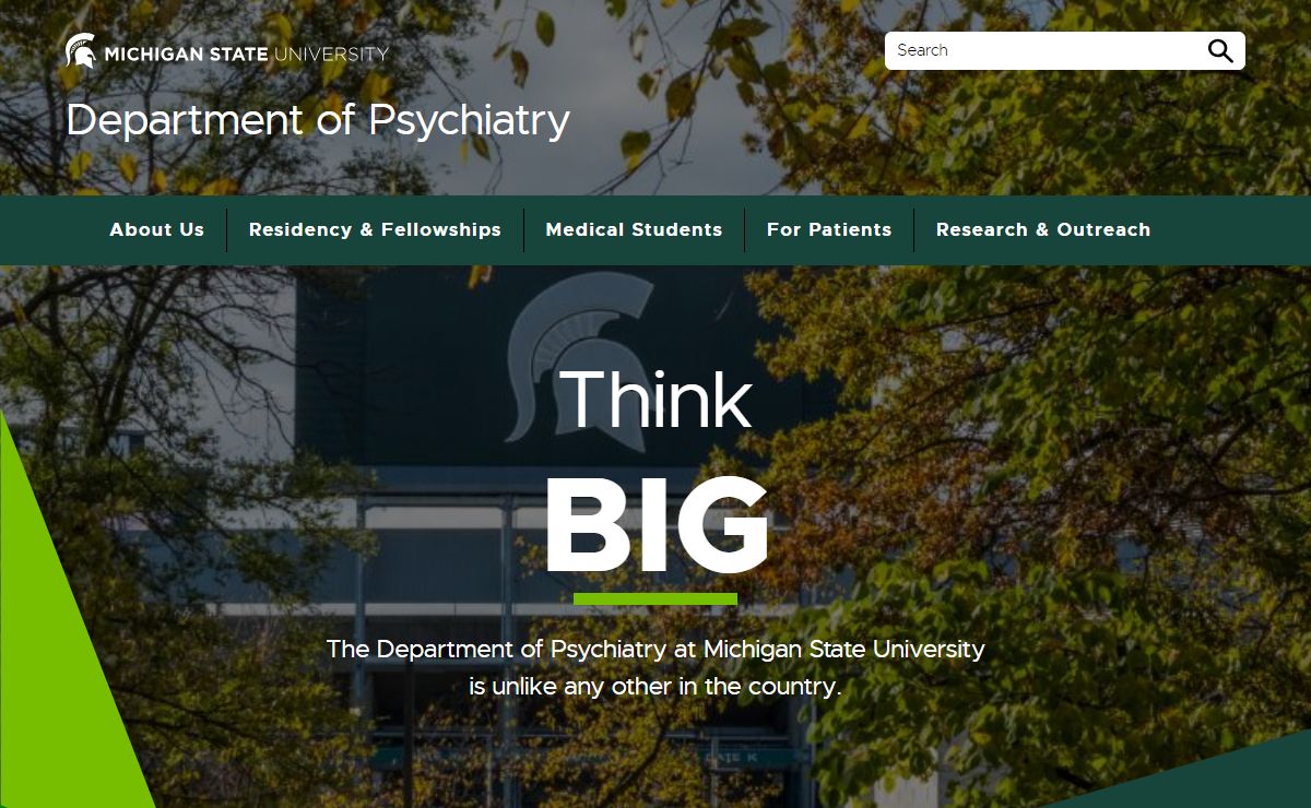 Home | MSU Psychiatry