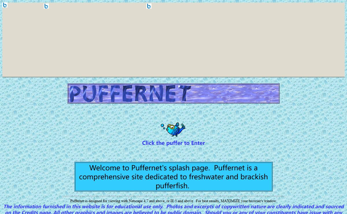 Puffernet <<< splash page