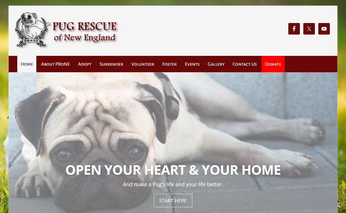 Pug Rescue of New England
