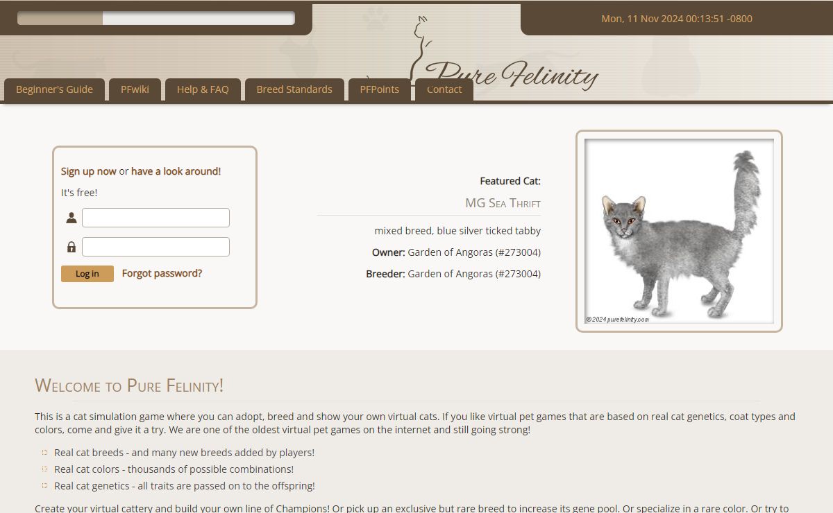 Pure Felinity - Start Page