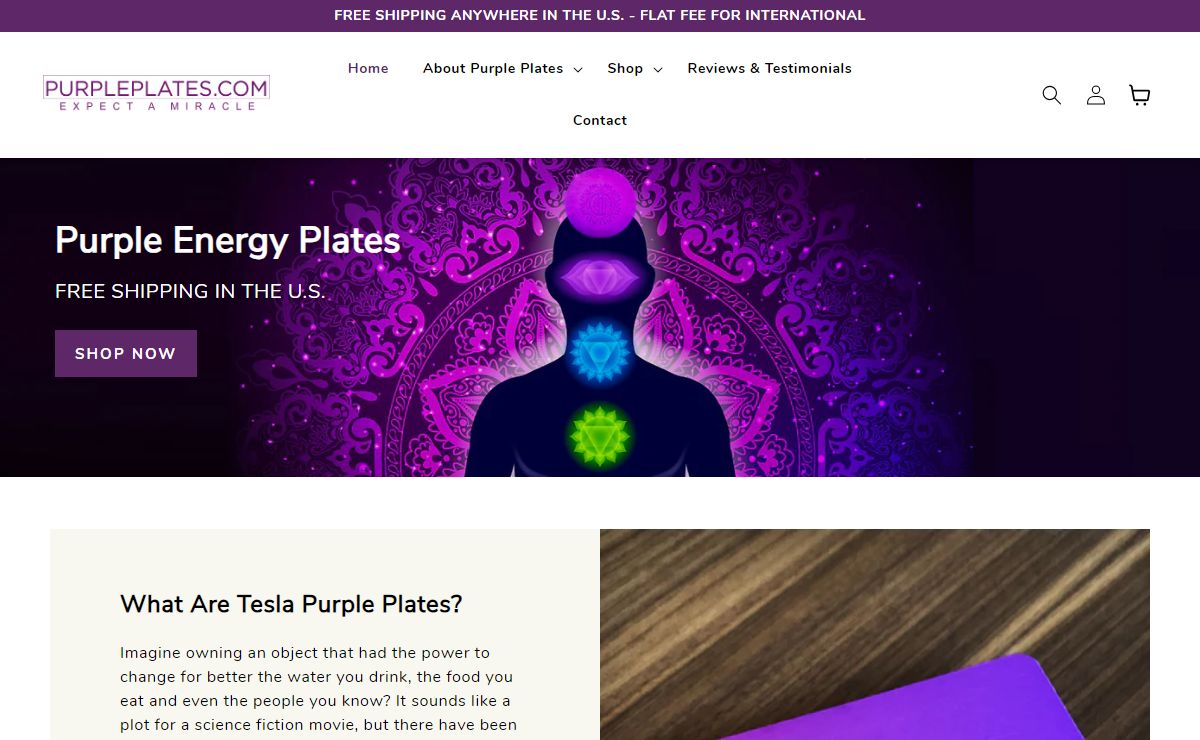 Tesla Purple Plates – Purpleplates.com