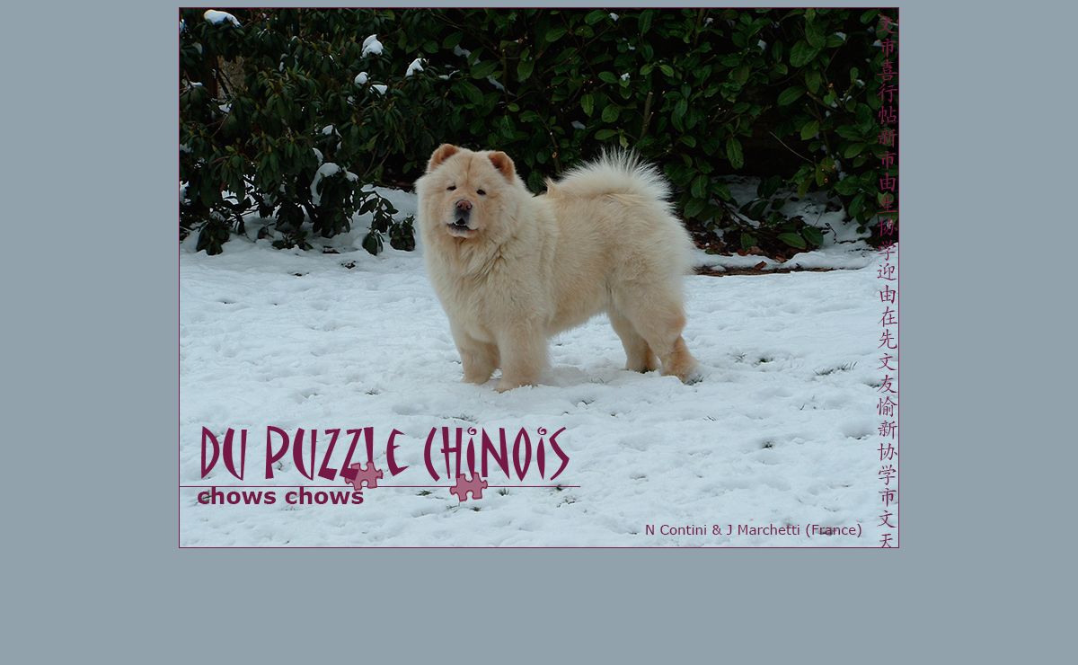 - -- == Chow-Chows du Puzzle Chinois == -- -
