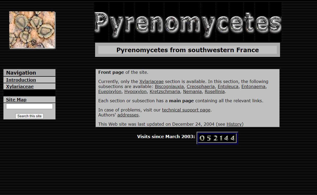 Pyrenomycetes from southwestern France